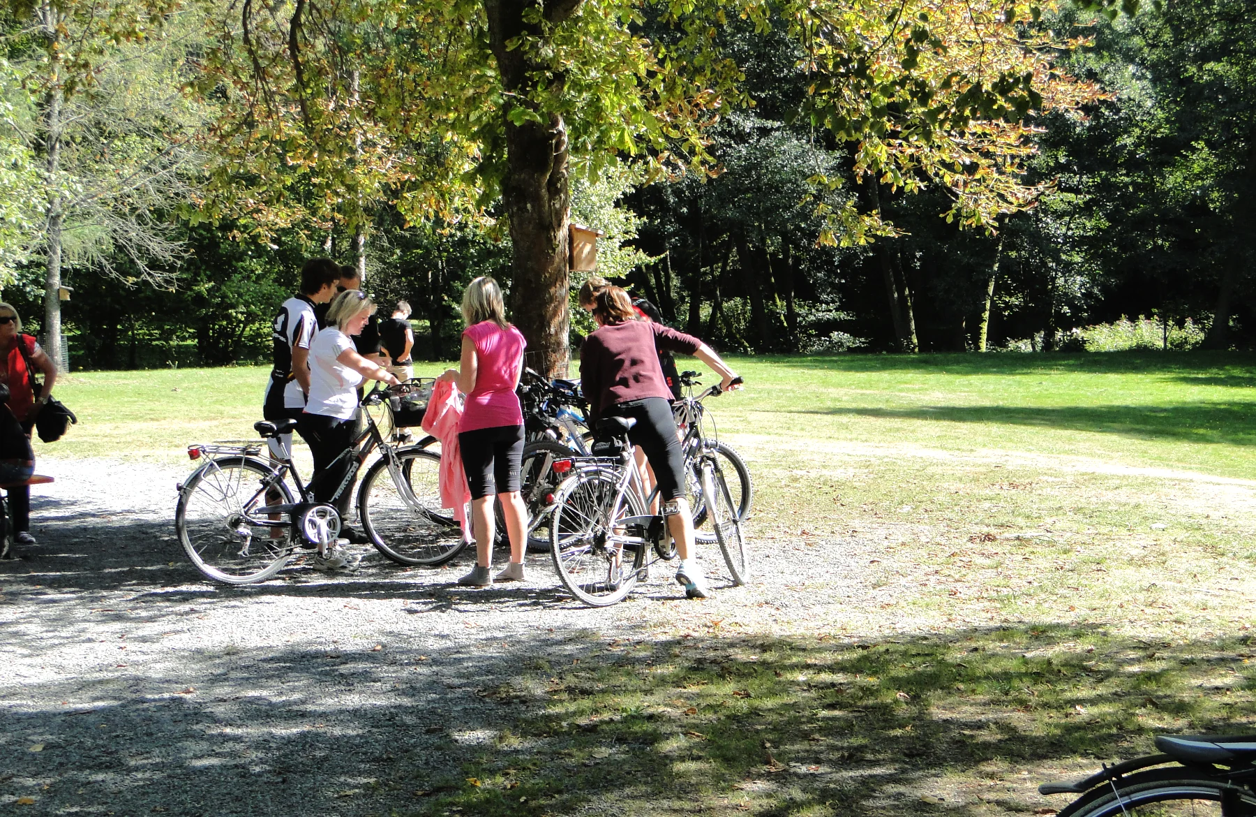 Aktiv in der Natur Radfahren und Aktivurlaub in der Natur am Birkholmhof