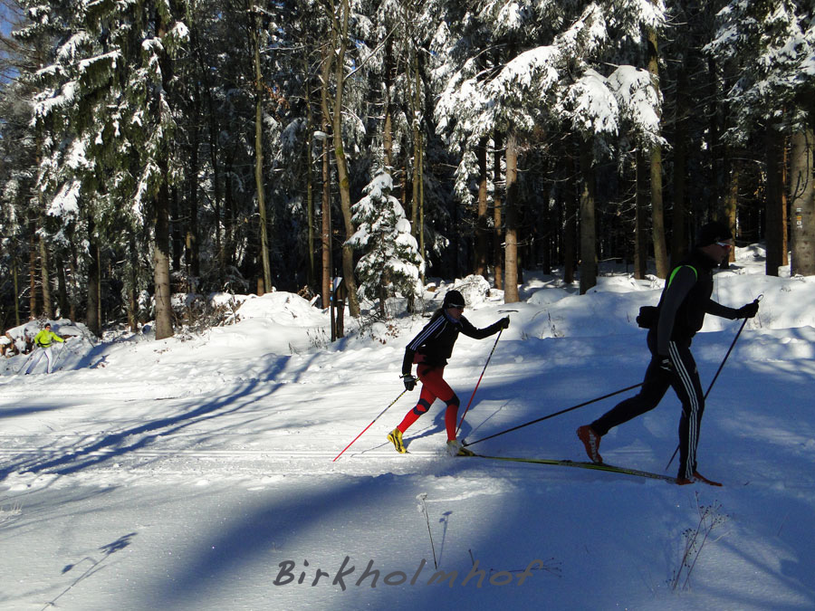 Winterurlaub - Skilanglaufzentrum Silberhütte - Skiverleih, Loipen, klassische Langlaufen und Skatingstrecken